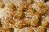 Lasius sp.
